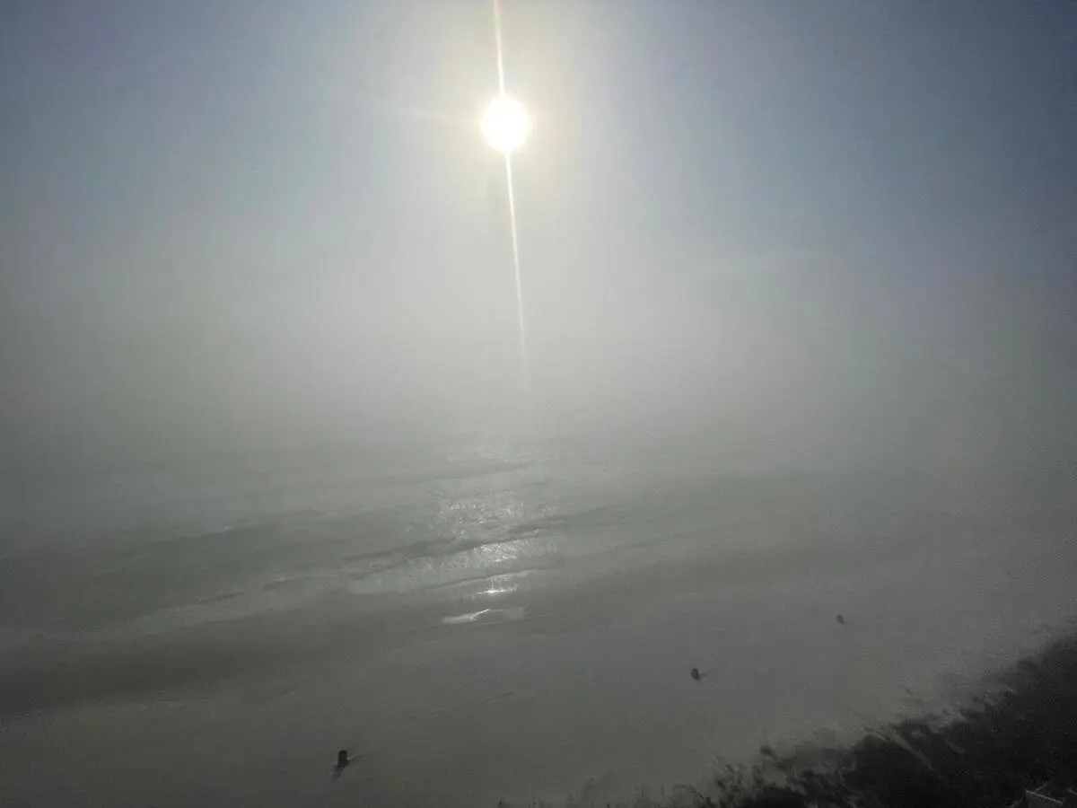 The Beach Life Panama City Beach United States